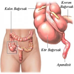 Profesör Doktor Tarık Akçal, Genel Cerrah, Cerrahi, Kanser, Fıtık, Tedavi